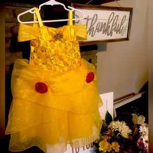 Disney Princess Dress